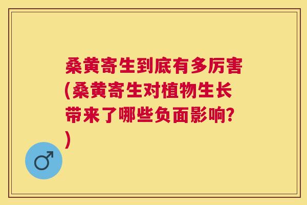 桑黄寄生到底有多厉害(桑黄寄生对植物生长带来了哪些负面影响?) 桑黄寄生到底有多厉害(桑黄寄生对植物生长带来了哪些负面影响?)
