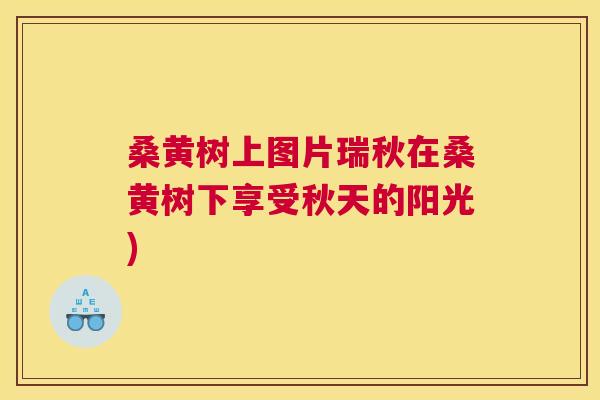 桑黄树上图片瑞秋在桑黄树下享受秋天的阳光) 桑黄树上图片瑞秋在桑黄树下享受秋天的阳光)