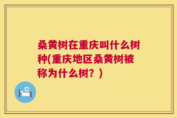 桑黄树在重庆叫什么树种(重庆地区桑黄树被称为什么树?) 桑黄树在重庆叫什么树种(重庆地区桑黄树被称为什么树?)