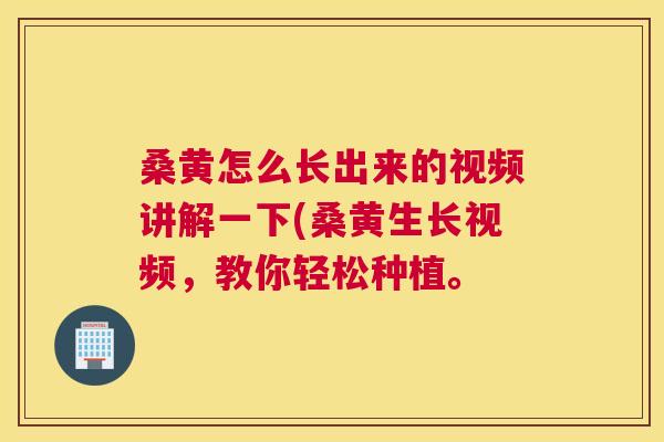 桑黄怎么长出来的视频讲解一下(桑黄生长视频,教你轻松种植。 桑黄怎么长出来的视频讲解一下(桑黄生长视频,教你轻松种植。