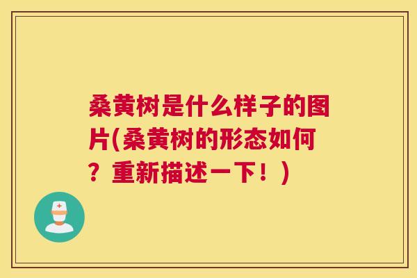 桑黄树是什么样子的图片(桑黄树的形态如何?重新描述一下!) 桑黄树是什么样子的图片(桑黄树的形态如何?重新描述一下!)