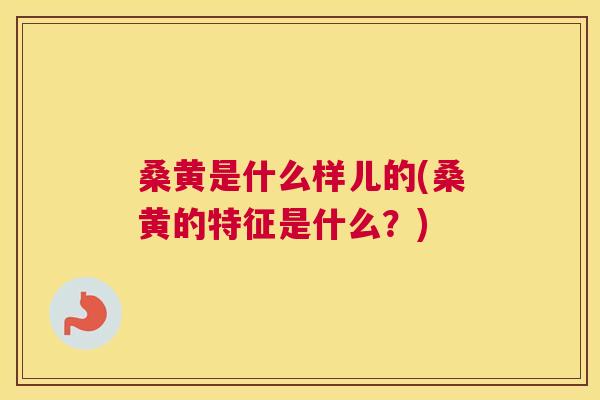 桑黄是什么样儿的(桑黄的特征是什么?) 桑黄是什么样儿的(桑黄的特征是什么?)