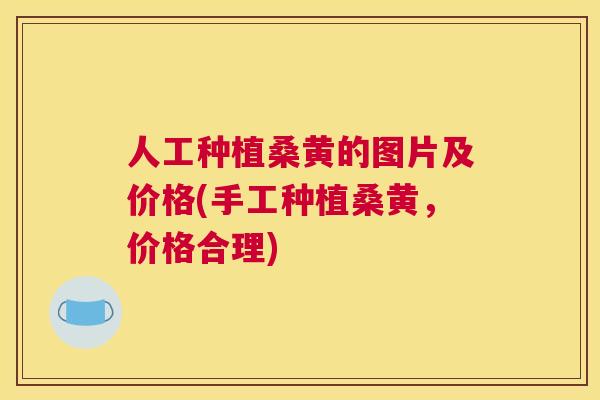 人工种植桑黄的图片及价格(手工种植桑黄,价格合理) 人工种植桑黄的图片及价格(手工种植桑黄,价格合理)