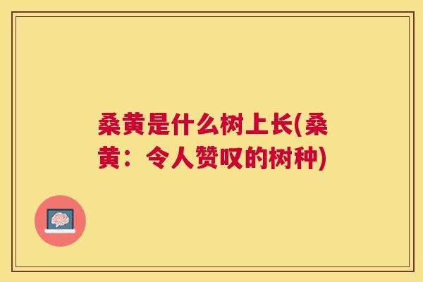 桑黄是什么树上长(桑黄:令人赞叹的树种) 桑黄是什么树上长(桑黄:令人赞叹的树种)
