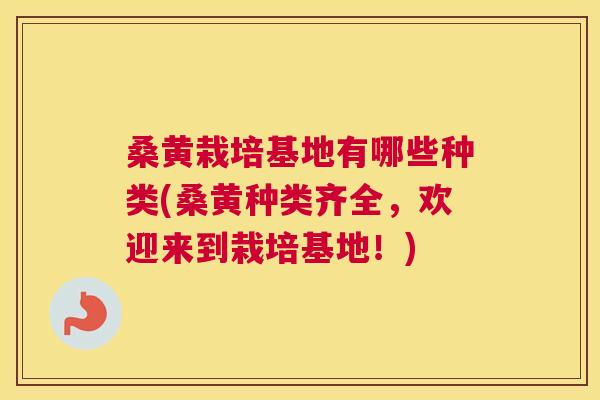 桑黄栽培基地有哪些种类(桑黄种类齐全,欢迎来到栽培基地!) 桑黄栽培基地有哪些种类(桑黄种类齐全,欢迎来到栽培基地!)