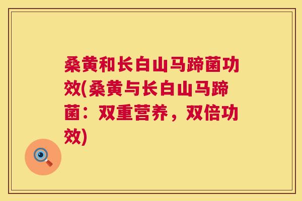 桑黄和长白山马蹄菌功效(桑黄与长白山马蹄菌:双重营养,双倍功效) 桑黄和长白山马蹄菌功效(桑黄与长白山马蹄菌:双重营养,双倍功效)
