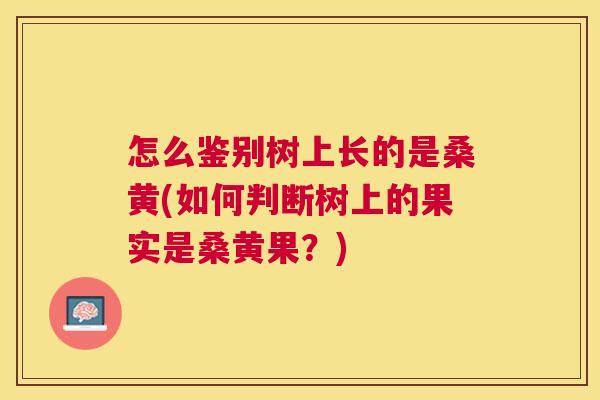 怎么鉴别树上长的是桑黄(如何判断树上的果实是桑黄果?) 怎么鉴别树上长的是桑黄(如何判断树上的果实是桑黄果?)