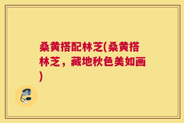 桑黄搭配林芝(桑黄搭林芝,藏地秋色美如画) 桑黄搭配林芝(桑黄搭林芝,藏地秋色美如画)