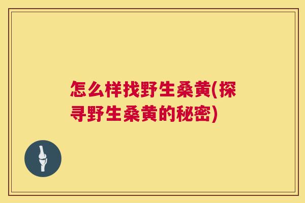 怎么样找野生桑黄(探寻野生桑黄的秘密) 怎么样找野生桑黄(探寻野生桑黄的秘密)