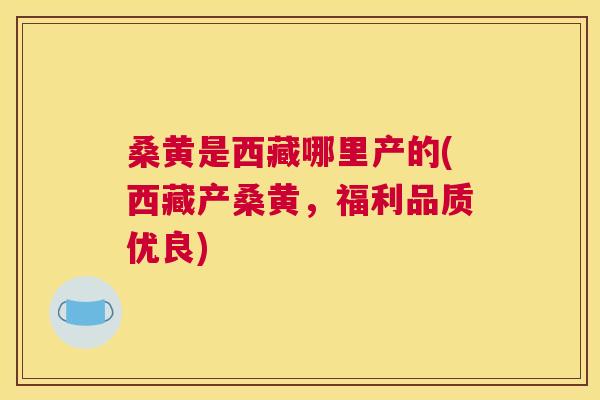 桑黄是西藏哪里产的(西藏产桑黄,福利品质优良) 桑黄是西藏哪里产的(西藏产桑黄,福利品质优良)