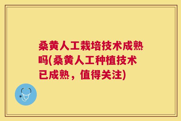 桑黄人工栽培技术成熟吗(桑黄人工种植技术已成熟,值得关注) 桑黄人工栽培技术成熟吗(桑黄人工种植技术已成熟,值得关注)