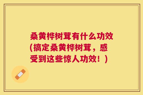 桑黄桦树茸有什么功效(搞定桑黄桦树茸,感受到这些惊人功效!) 桑黄桦树茸有什么功效(搞定桑黄桦树茸,感受到这些惊人功效!)