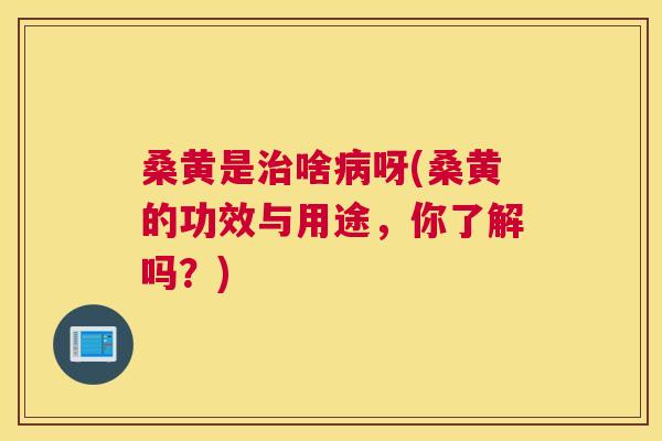 桑黄是啥呀(桑黄的功效与用途,你了解吗?) 桑黄是啥呀(桑黄的功效与用途,你了解吗?)