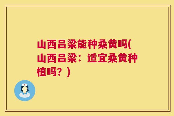 山西吕梁能种桑黄吗(山西吕梁:适宜桑黄种植吗?) 山西吕梁能种桑黄吗(山西吕梁:适宜桑黄种植吗?)