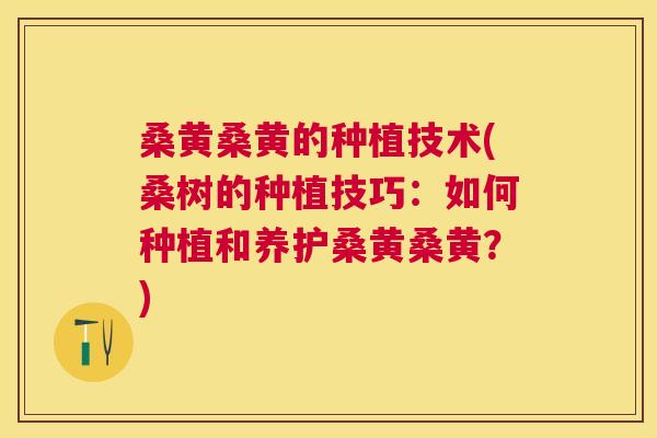 桑黄桑黄的种植技术(桑树的种植技巧:如何种植和养护桑黄桑黄?) 桑黄桑黄的种植技术(桑树的种植技巧:如何种植和养护桑黄桑黄?)