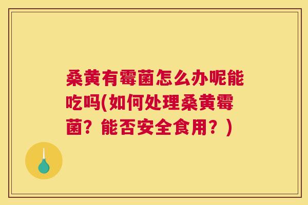 桑黄有霉菌怎么办呢能吃吗(如何处理桑黄霉菌?能否安全食用?) 桑黄有霉菌怎么办呢能吃吗(如何处理桑黄霉菌?能否安全食用?)