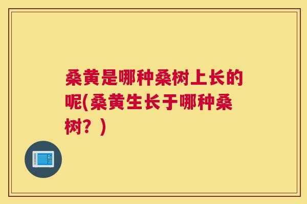 桑黄是哪种桑树上长的呢(桑黄生长于哪种桑树?) 桑黄是哪种桑树上长的呢(桑黄生长于哪种桑树?)