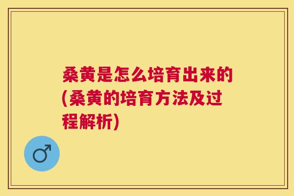 桑黄是怎么培育出来的(桑黄的培育方法及过程解析) 桑黄是怎么培育出来的(桑黄的培育方法及过程解析)