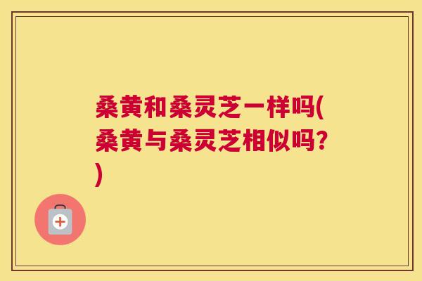 桑黄和桑灵芝一样吗(桑黄与桑灵芝相似吗?) 桑黄和桑灵芝一样吗(桑黄与桑灵芝相似吗?)