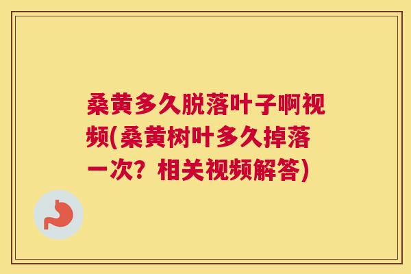 桑黄多久脱落叶子啊视频(桑黄树叶多久掉落一次?相关视频解答) 桑黄多久脱落叶子啊视频(桑黄树叶多久掉落一次?相关视频解答)