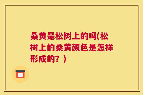 桑黄是松树上的吗(松树上的桑黄颜色是怎样形成的?) 桑黄是松树上的吗(松树上的桑黄颜色是怎样形成的?)