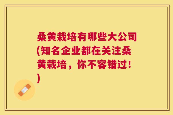 桑黄栽培有哪些大公司(知名企业都在关注桑黄栽培,你不容错过!) 桑黄栽培有哪些大公司(知名企业都在关注桑黄栽培,你不容错过!)