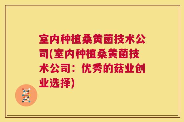 室内种植桑黄菌技术公司(室内种植桑黄菌技术公司:优秀的菇业创业选择) 室内种植桑黄菌技术公司(室内种植桑黄菌技术公司:优秀的菇业创业选择)