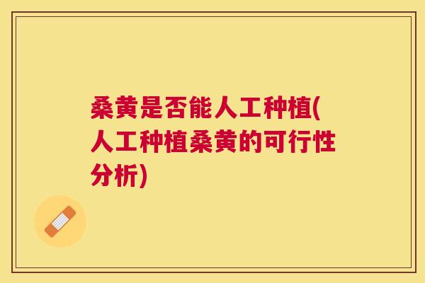 桑黄是否能人工种植(人工种植桑黄的可行性分析) 桑黄是否能人工种植(人工种植桑黄的可行性分析)