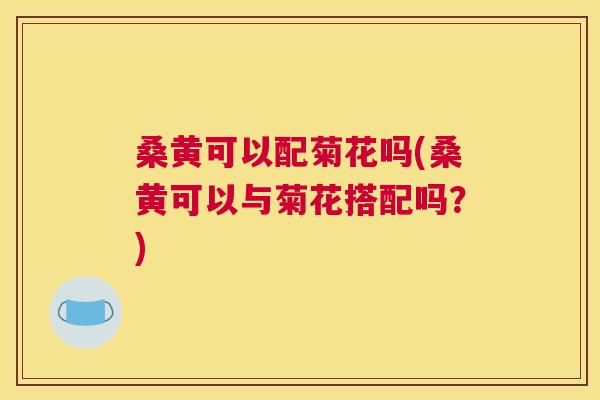 桑黄可以配菊花吗(桑黄可以与菊花搭配吗？)