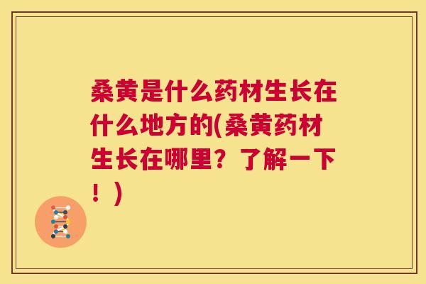 桑黄是什么药材生长在什么地方的(桑黄药材生长在哪里?了解一下!) 桑黄是什么药材生长在什么地方的(桑黄药材生长在哪里?了解一下!)