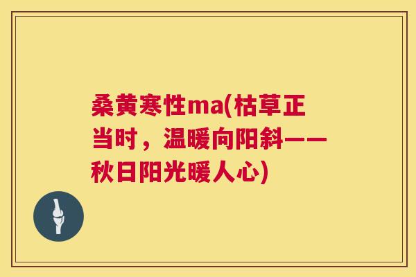 桑黄寒性ma(枯草正当时,温暖向阳斜——秋日阳光暖人心) 桑黄寒性ma(枯草正当时,温暖向阳斜——秋日阳光暖人心)
