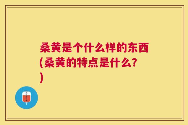桑黄是个什么样的东西(桑黄的特点是什么？)