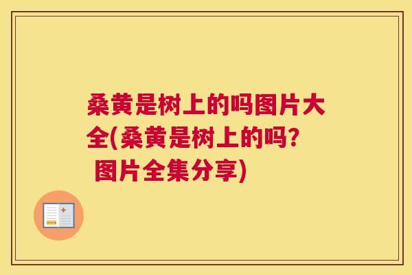 桑黄是树上的吗图片大全(桑黄是树上的吗? 图片全集分享) 桑黄是树上的吗图片大全(桑黄是树上的吗? 图片全集分享)