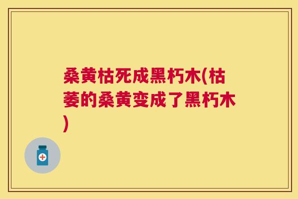 桑黄枯死成黑朽木(枯萎的桑黄变成了黑朽木) 桑黄枯死成黑朽木(枯萎的桑黄变成了黑朽木)