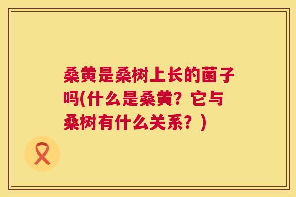 桑黄是桑树上长的菌子吗(什么是桑黄?它与桑树有什么关系?) 桑黄是桑树上长的菌子吗(什么是桑黄?它与桑树有什么关系?)
