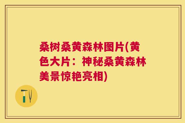 桑树桑黄森林图片(黄色大片:神秘桑黄森林美景惊艳亮相) 桑树桑黄森林图片(黄色大片:神秘桑黄森林美景惊艳亮相)
