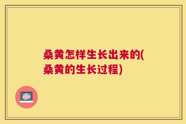 桑黄怎样生长出来的(桑黄的生长过程) 桑黄怎样生长出来的(桑黄的生长过程)