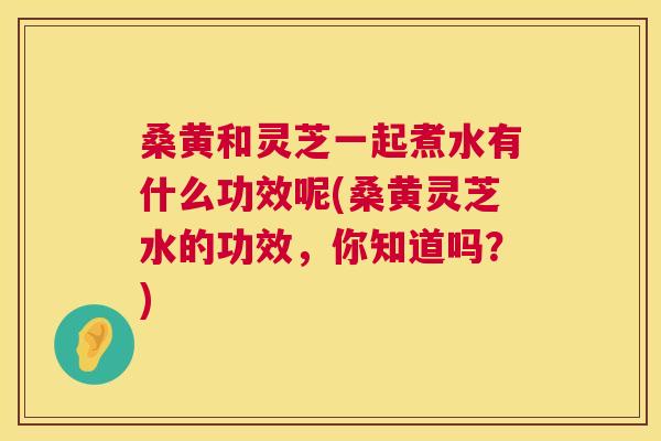 桑黄和灵芝一起煮水有什么功效呢(桑黄灵芝水的功效,你知道吗?) 桑黄和灵芝一起煮水有什么功效呢(桑黄灵芝水的功效,你知道吗?)