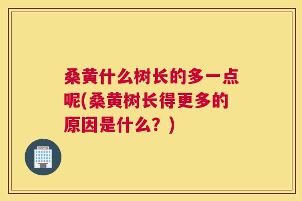 桑黄什么树长的多一点呢(桑黄树长得更多的原因是什么?) 桑黄什么树长的多一点呢(桑黄树长得更多的原因是什么?)