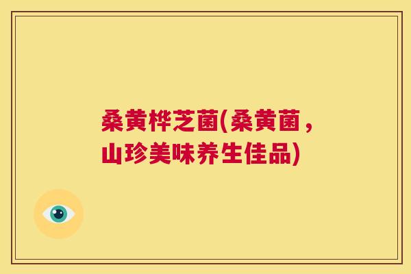 桑黄桦芝菌(桑黄菌，山珍美味养生佳品)