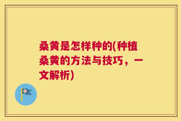 桑黄是怎样种的(种植桑黄的方法与技巧,一文解析) 桑黄是怎样种的(种植桑黄的方法与技巧,一文解析)