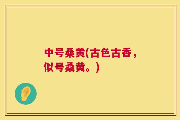 中号桑黄(古色古香,似号桑黄。) 中号桑黄(古色古香,似号桑黄。)