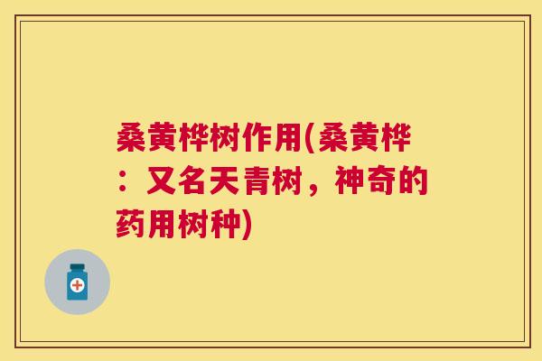 桑黄桦树作用(桑黄桦:又名天青树,神奇的药用树种) 桑黄桦树作用(桑黄桦:又名天青树,神奇的药用树种)