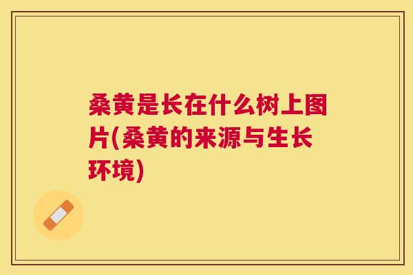 桑黄是长在什么树上图片(桑黄的来源与生长环境) 桑黄是长在什么树上图片(桑黄的来源与生长环境)