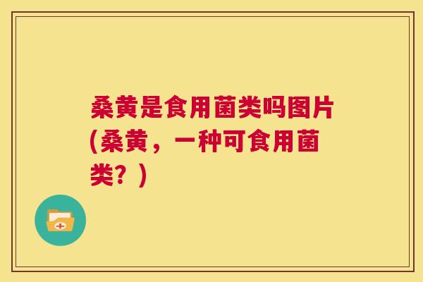桑黄是食用菌类吗图片(桑黄,一种可食用菌类?) 桑黄是食用菌类吗图片(桑黄,一种可食用菌类?)