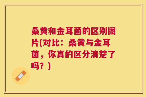 桑黄和金耳菌的区别图片(对比:桑黄与金耳菌,你真的区分清楚了吗?) 桑黄和金耳菌的区别图片(对比:桑黄与金耳菌,你真的区分清楚了吗?)