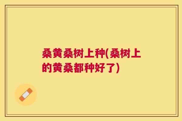 桑黄桑树上种(桑树上的黄桑都种好了) 桑黄桑树上种(桑树上的黄桑都种好了)