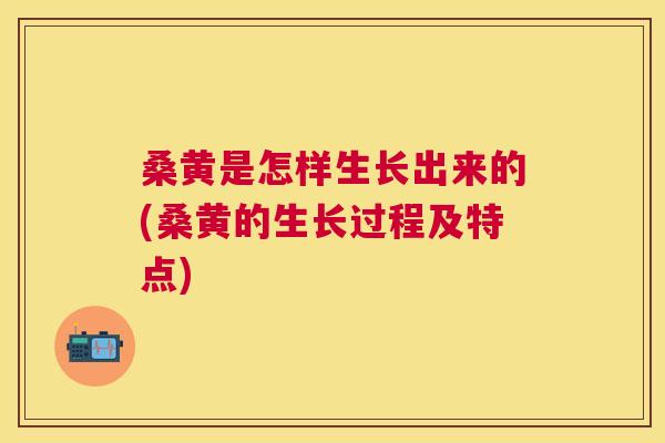 桑黄是怎样生长出来的(桑黄的生长过程及特点) 桑黄是怎样生长出来的(桑黄的生长过程及特点)