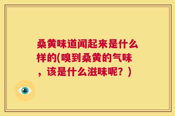 桑黄味道闻起来是什么样的(嗅到桑黄的气味,该是什么滋味呢?) 桑黄味道闻起来是什么样的(嗅到桑黄的气味,该是什么滋味呢?)