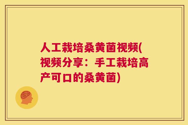 人工栽培桑黄菌视频(视频分享:手工栽培高产可口的桑黄菌) 人工栽培桑黄菌视频(视频分享:手工栽培高产可口的桑黄菌)